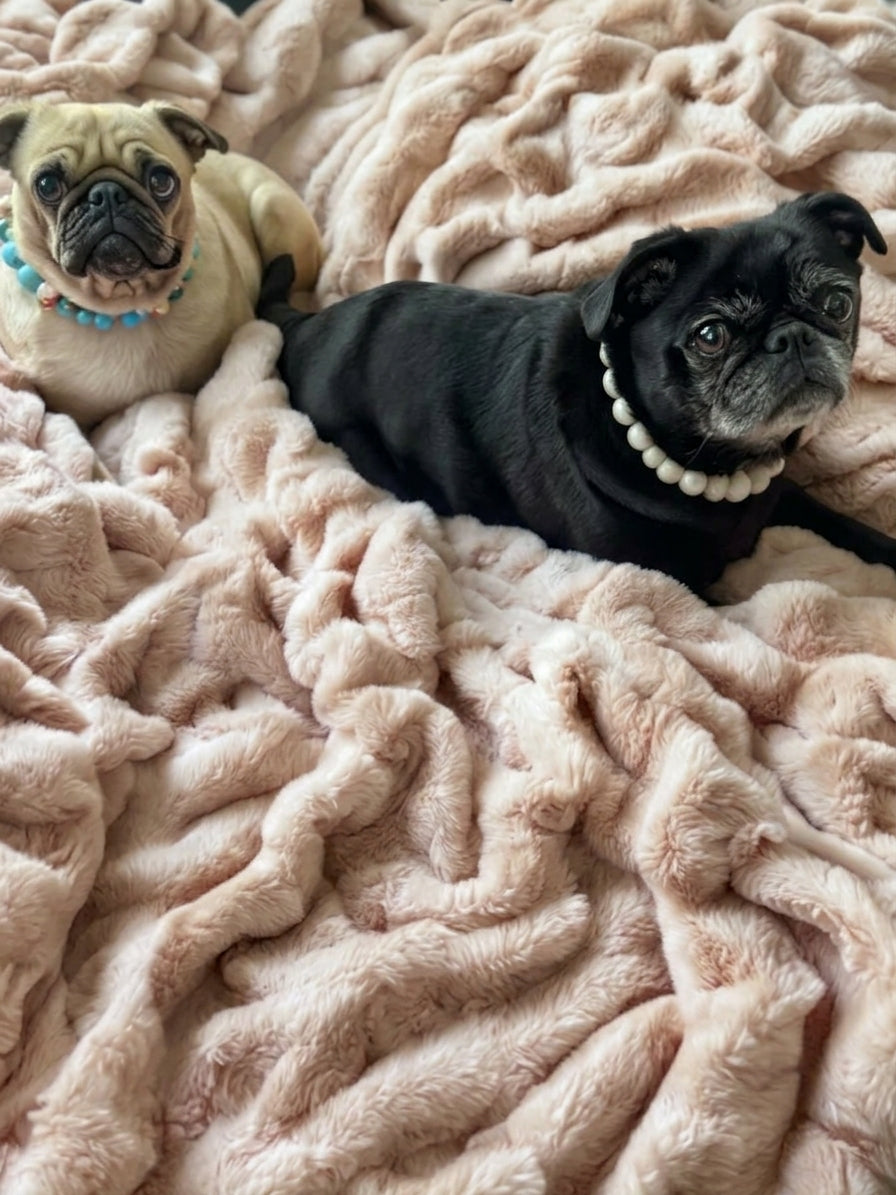 Two pugs lying on a chunky, textured blush pink blanket, each wearing a beaded collar.